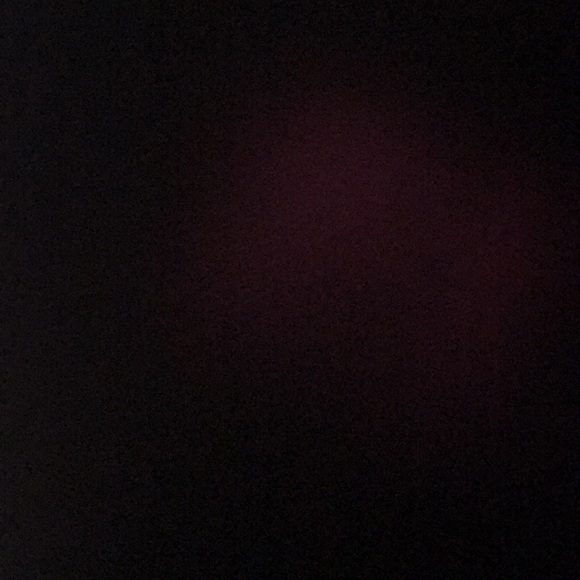 Meet your Posher, Junebug - Picture 1 of 1